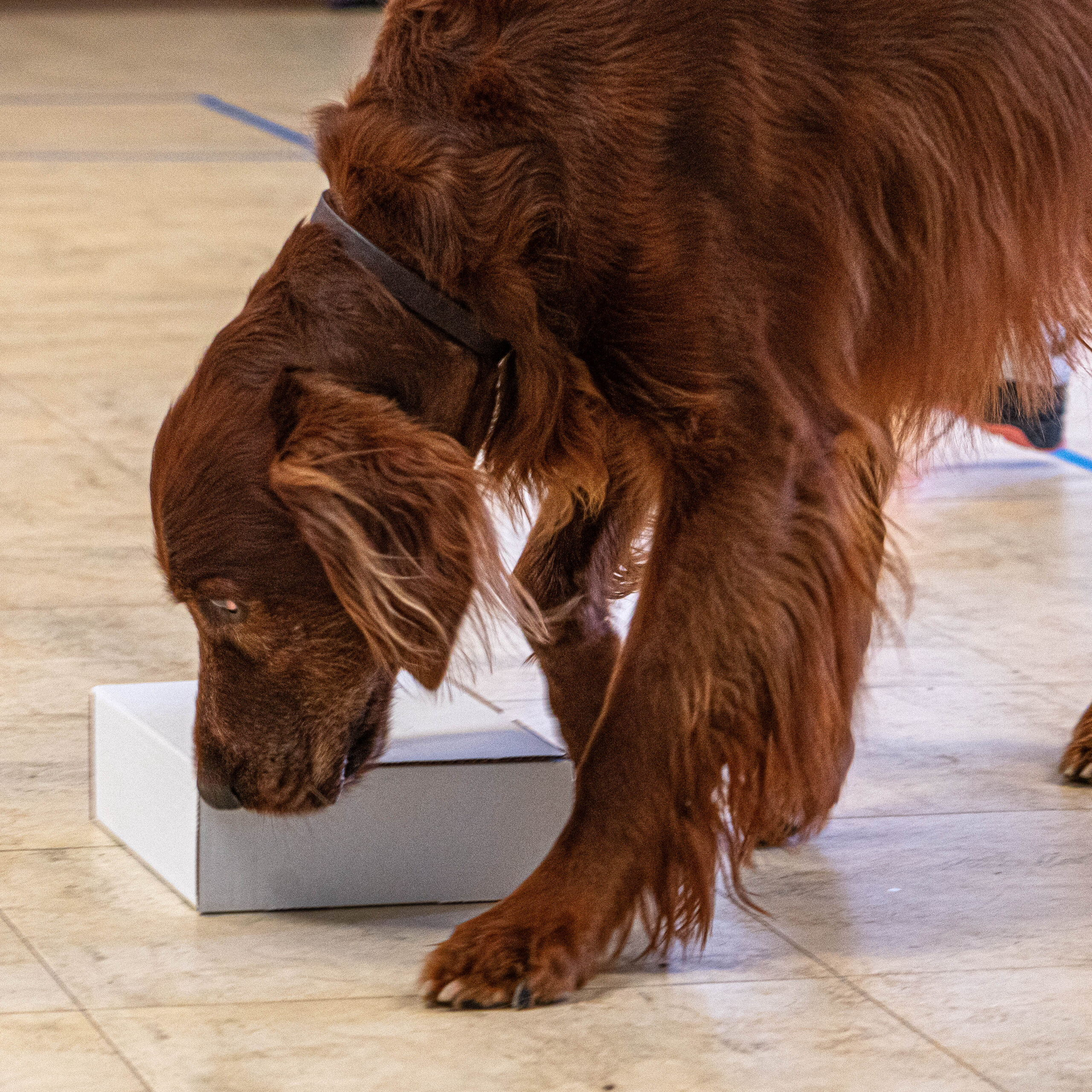 Container Run Throughs